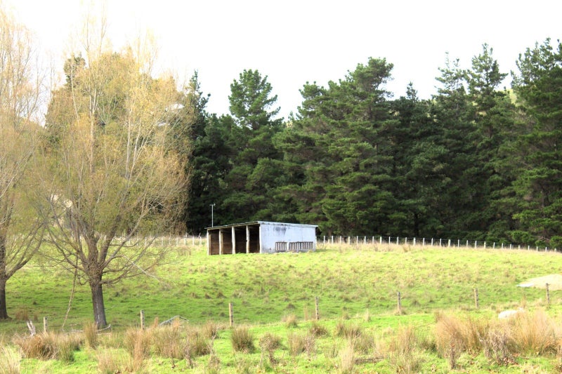 11 Waihi Falls Road, Dannevirke - Carousel 26