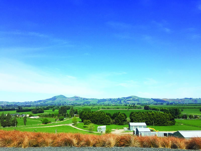 412A Outram-Mosgiel Road, Outram - Carousel 3