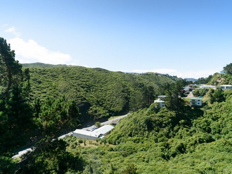 38 Montreal Grove, Kingston, Wellington - Carousel 15