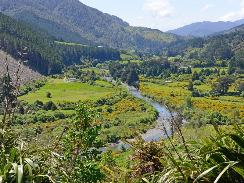 21 Crest Road, Akatarawa, Upper Hutt - Carousel 2