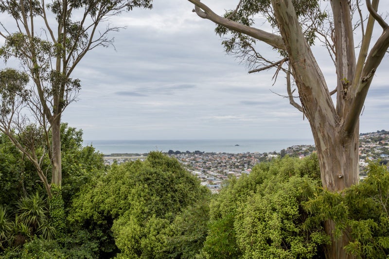 131 Forfar Street, Clyde Hill, Dunedin - Carousel 18