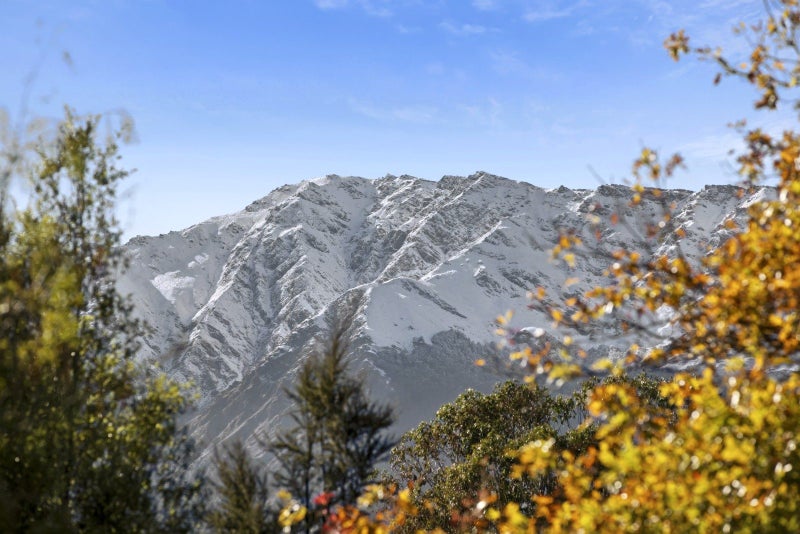 32 Flora Dora Parade, Wanaka - Carousel 21