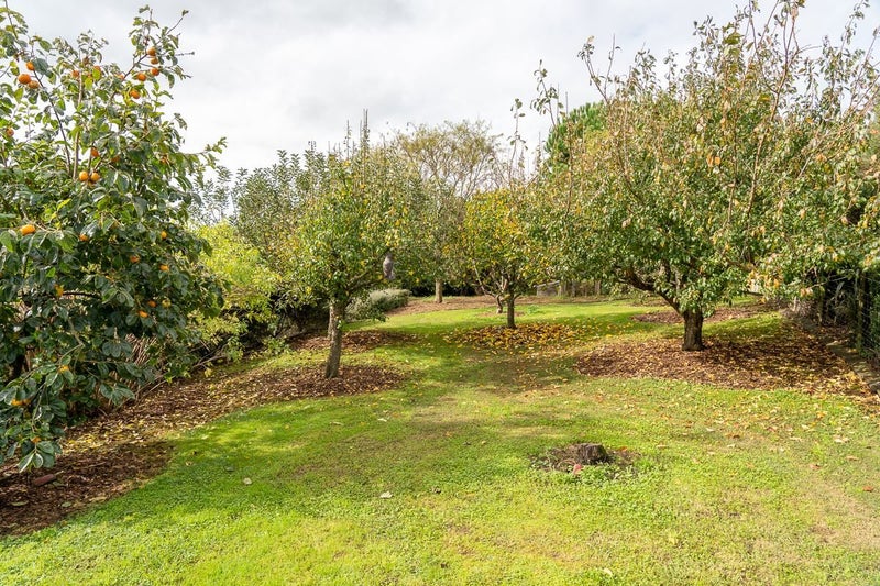 10C Bell Road, Whatawhata, Hamilton - Carousel 30