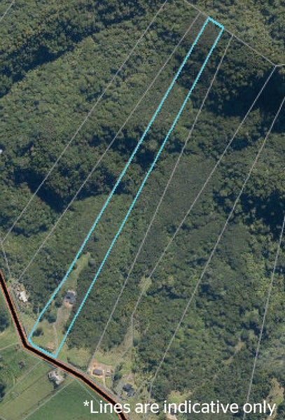 453 Mt Tiger Road, Whareora - Carousel 31