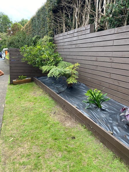 2/4 Buttle Street, Remuera, Auckland - Carousel 13