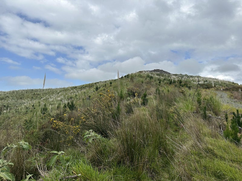872 Bickerstaffe Road, Maungaturoto - Carousel 15