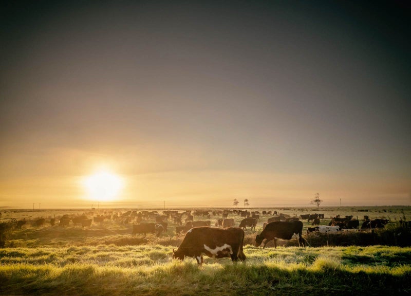 385 Arrowville Road, Aka Aka - Carousel 6