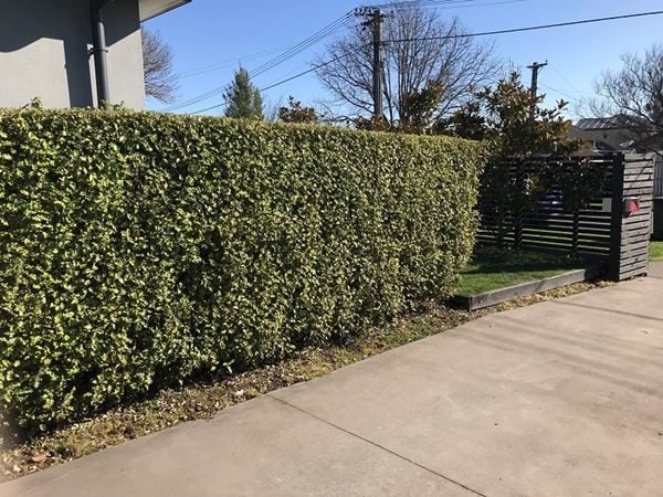 5 Leistrella Road, Hoon Hay, Christchurch - Carousel 22