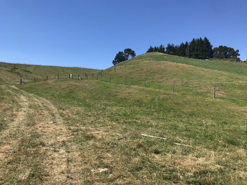 343 Oruanui Road, Wairakei, Taupo - Carousel 13