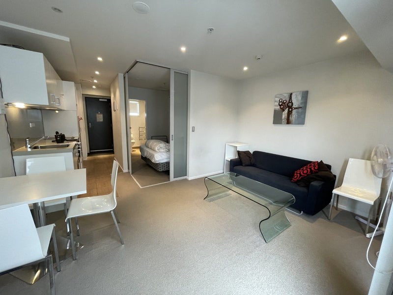 1321/74 Taranaki Street, Te Aro, Wellington - Carousel 18