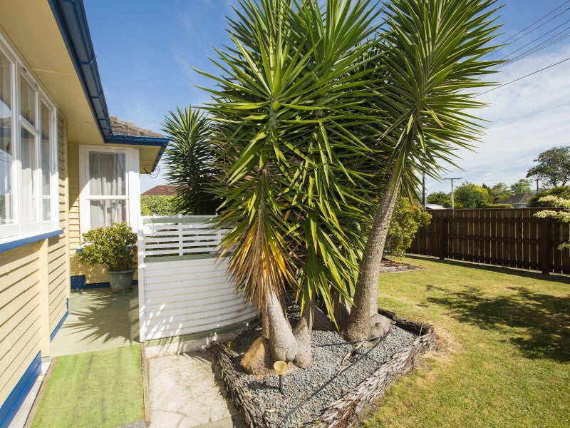 2 Churchill Crescent, Te Hapara, Gisborne - Carousel 20