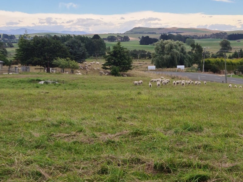 81 Homestead Road, Weston, Oamaru - Carousel 2