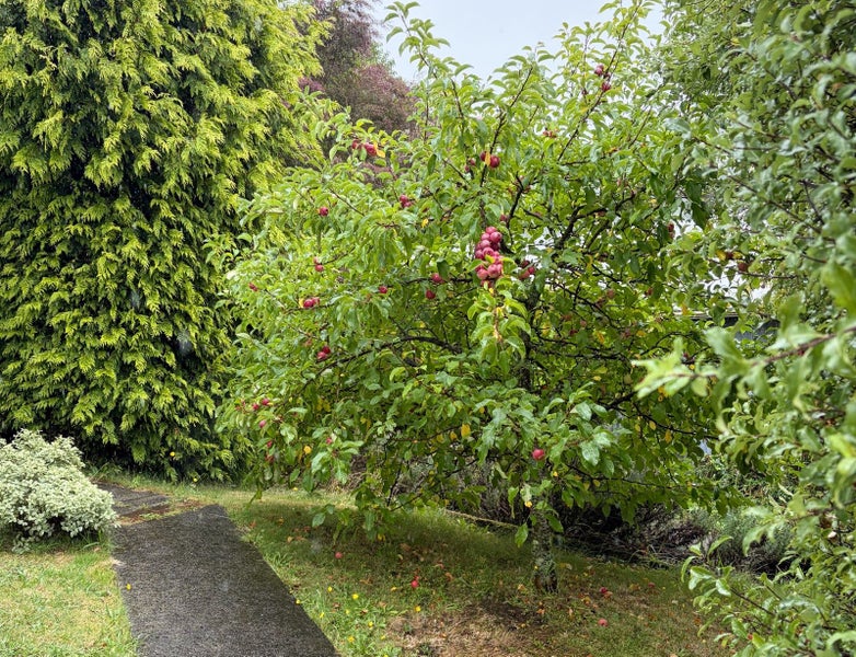 8 Arrow Street, Washington Valley, Nelson - Carousel 29