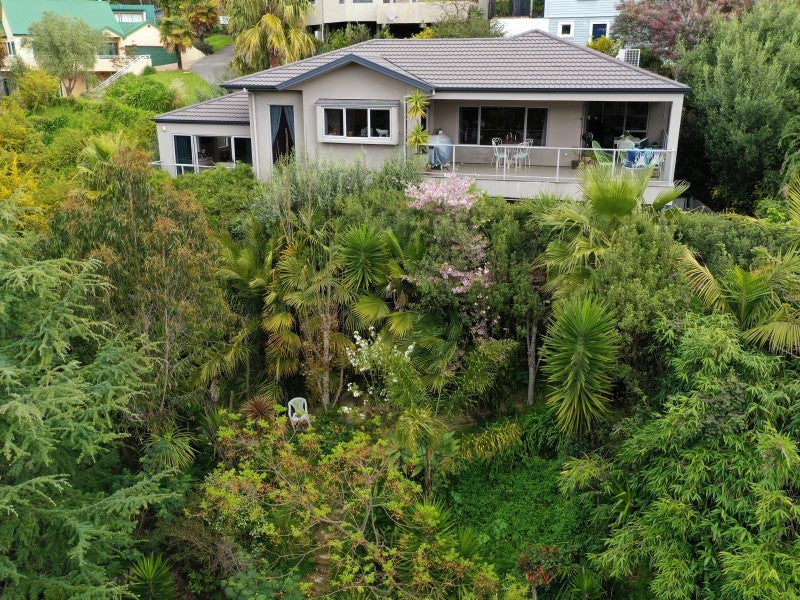 17 Bracken Street, Hospital Hill, Napier - Carousel 24