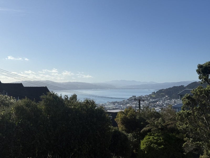 77 Washington Avenue, Brooklyn, Wellington - Carousel 21