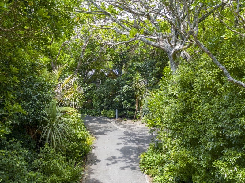 29 Millvale Street, Waikanae - Carousel 26