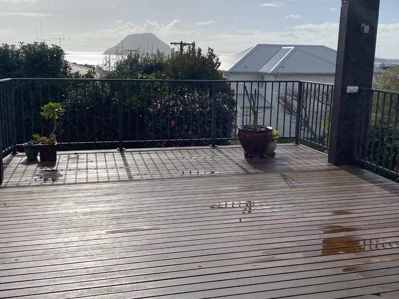 33A Pillans Road, Otumoetai, Tauranga - Carousel 16