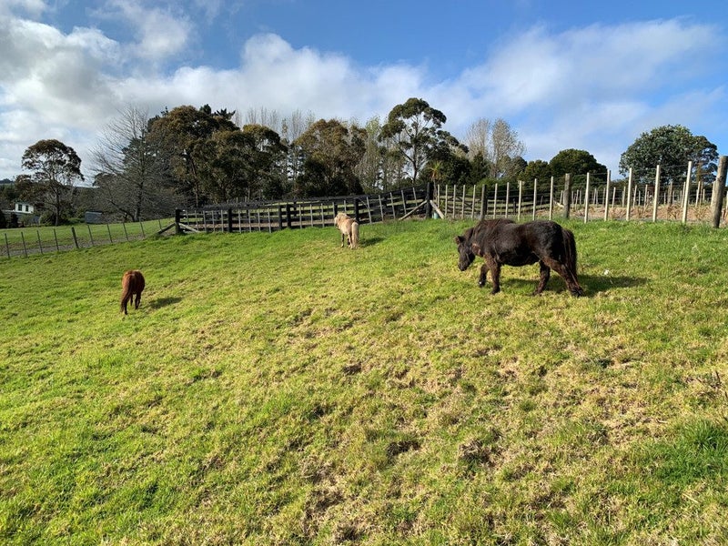 637A Ormandy Road, Whangarei - Carousel 1