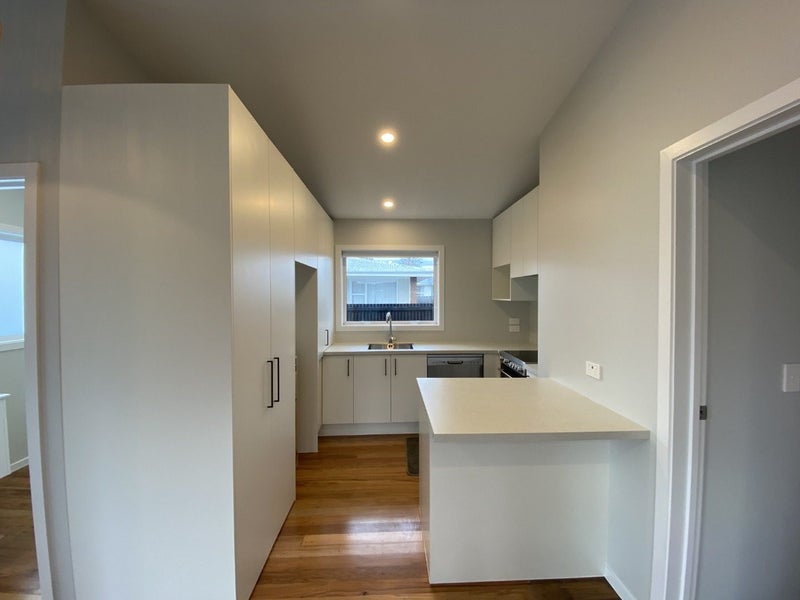 87A Hills Road, Edgeware, Christchurch - Carousel 2