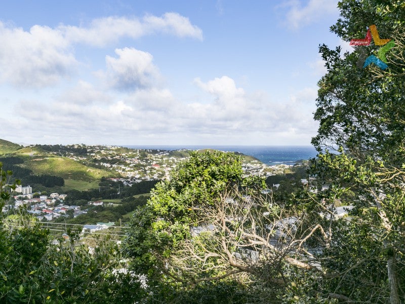 17 Havelock Street, Mornington, Wellington - Carousel 2