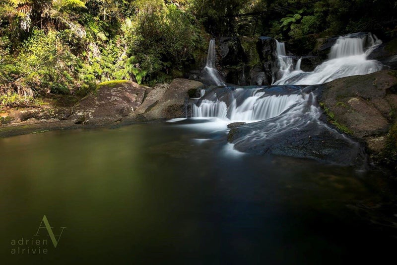 236C Tim Road, Whakamarama, Tauranga - Carousel 26