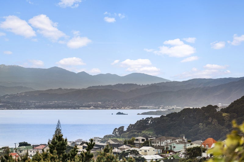 22 Virginia Grove, Brooklyn, Wellington - Carousel 2