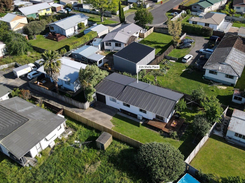 22A Sheila Place, Dinsdale, Hamilton - Carousel 3