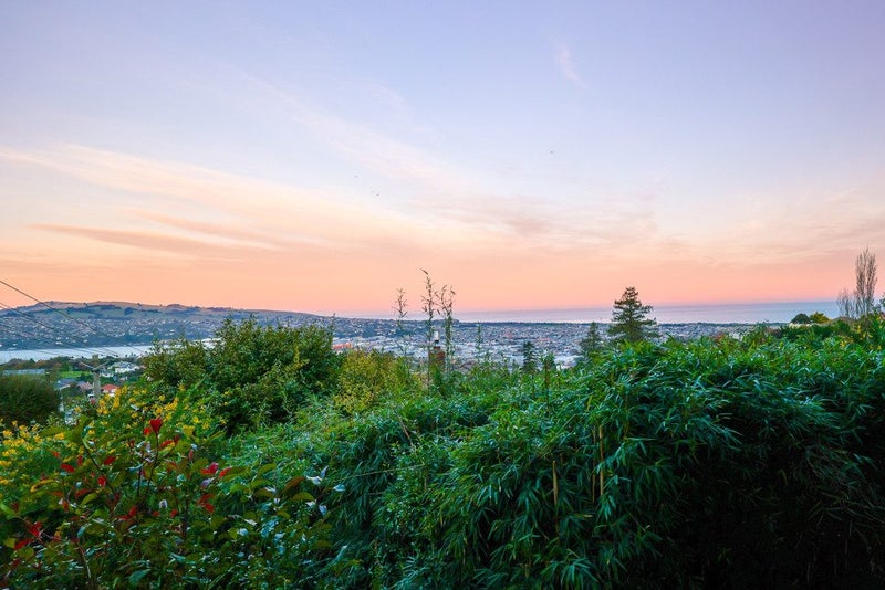 14 Appold Street, Maryhill, Dunedin - Carousel 2