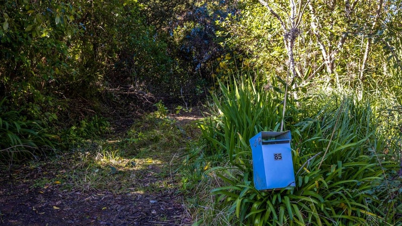 85 Hill Road, Palm Beach, Waiheke Island - Carousel 1