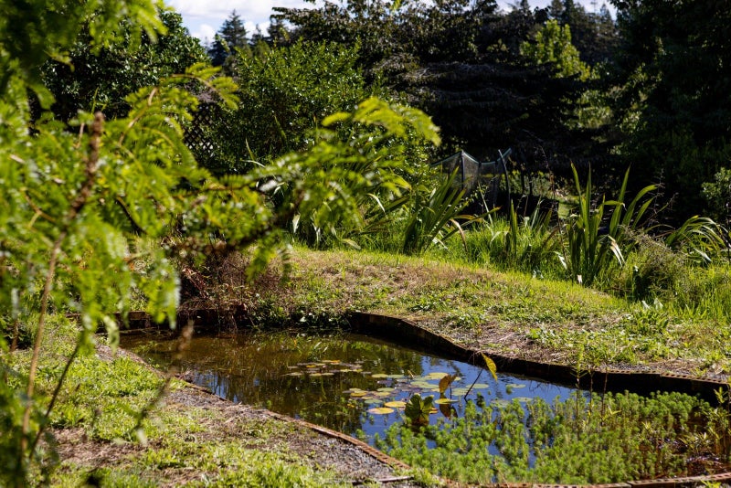 30 Summerfield Lane, Tamahere - Carousel 22