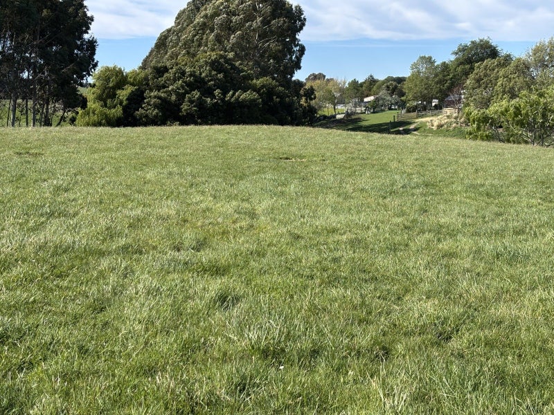 0 Parsons Road, Weston, Oamaru - Carousel 8