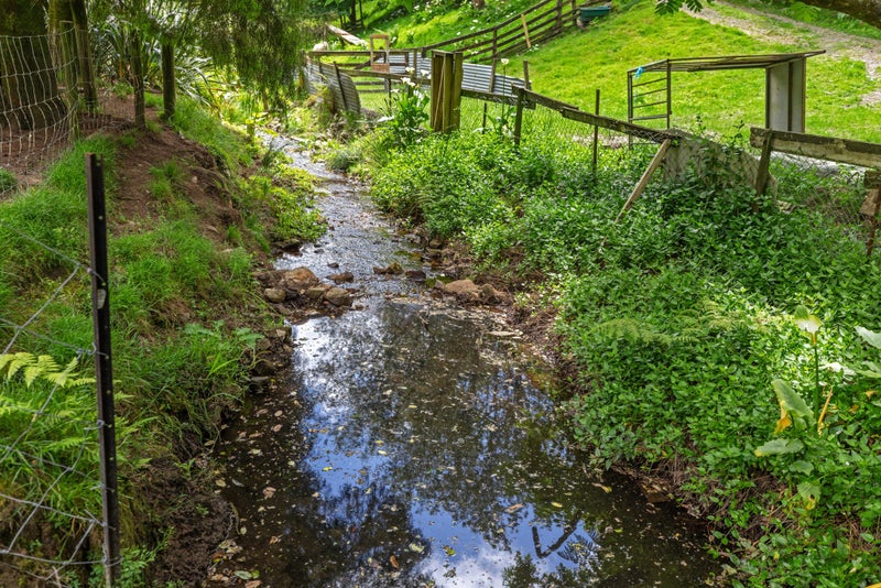 11 Tui Street, Te Puke - Carousel 17