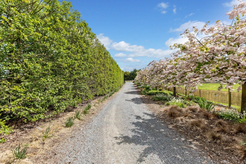 74 Adams Road, Christchurch - Carousel 26