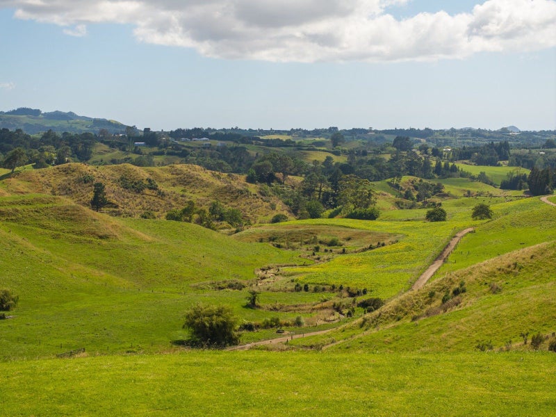 250 Busby Road, Katikati, Western Bay Of Plenty, Bay Of Plenty - Carousel 2