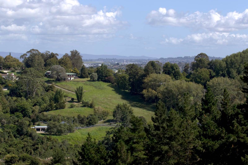 82 Whites Road, Howick - Carousel 23