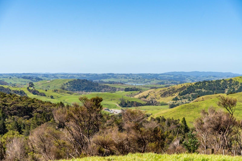 60 Summer Road, Tinopai - Carousel 2