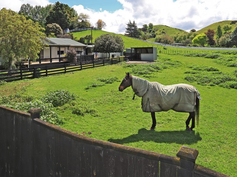14 Dartmoor Road, Puketapu - Carousel 2