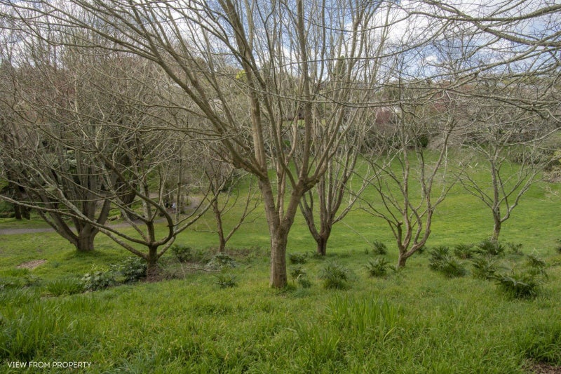 22 Honeysuckle Lane, Ohauiti, Tauranga - Carousel 23