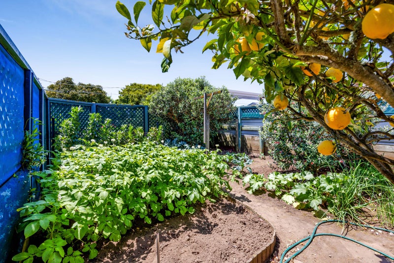 18 Wilson Street, Hawera - Carousel 36