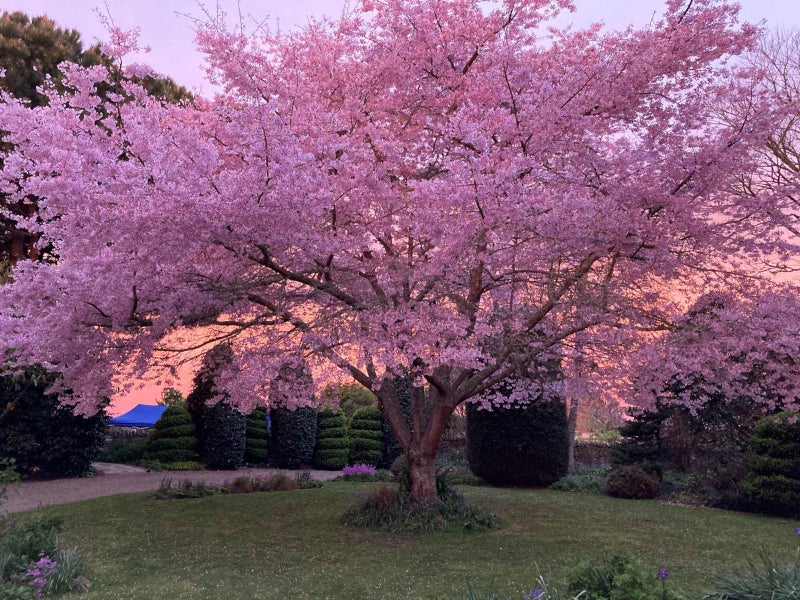 125 Matangi Road, Matangi, Hamilton - Carousel 1