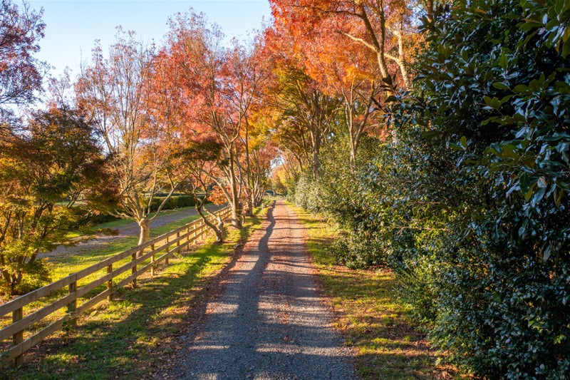 107 Windmill Road, Tamahere, Hamilton - Carousel 2