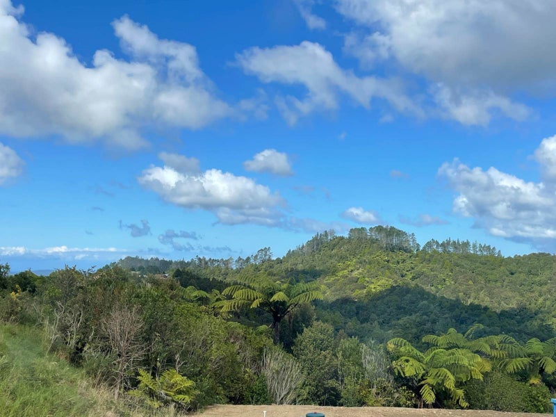 357C Govan Wilson Road, Warkworth - Carousel 10