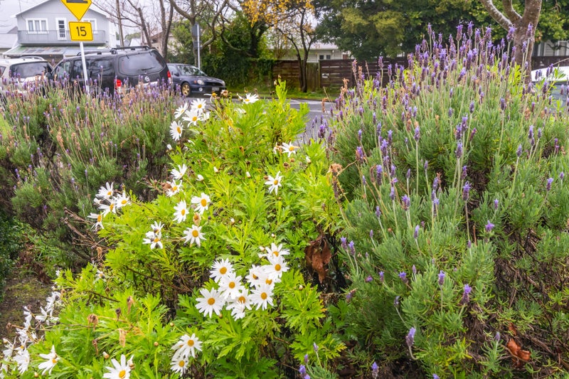 11 Te Mome Road, Alicetown, Lower Hutt - Carousel 37