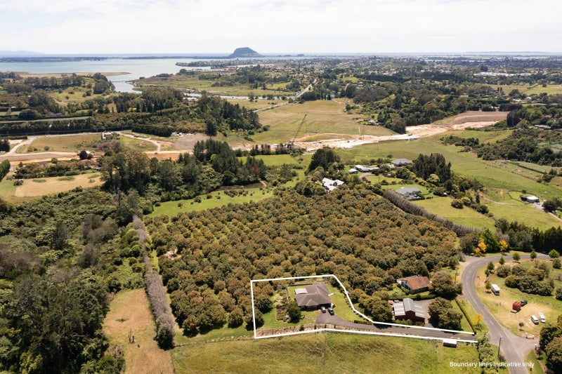 84 Oliver Road, Tauranga - Carousel 1