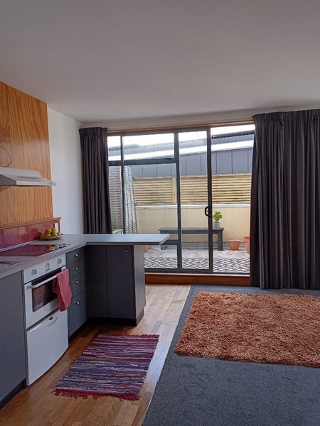 11/4 Frederick Street, Te Aro, Wellington - Carousel 2