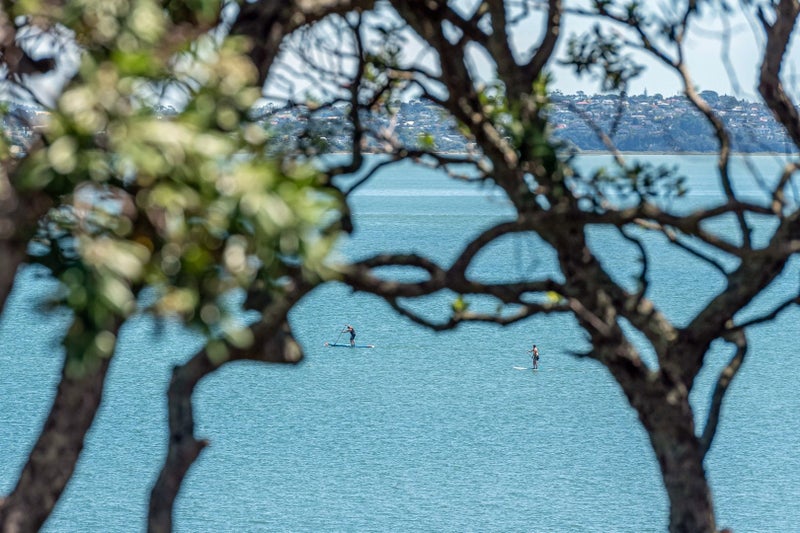 4/259 Jervois Road, Herne Bay, Auckland - Carousel 17