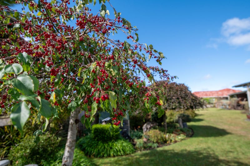 14 Frances Street, Ngongotaha, Rotorua - Carousel 19
