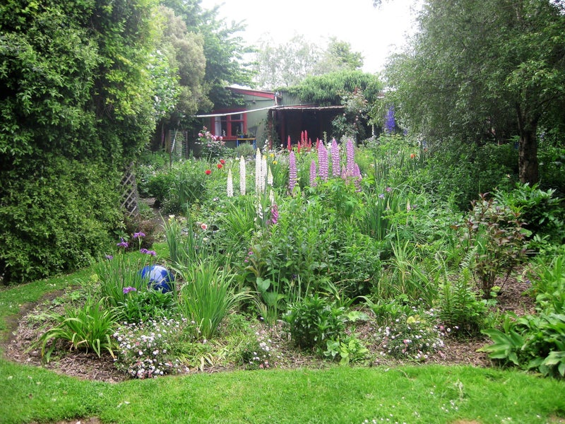 3 Kerr Street, Karitane, Waikouaiti - Carousel 4