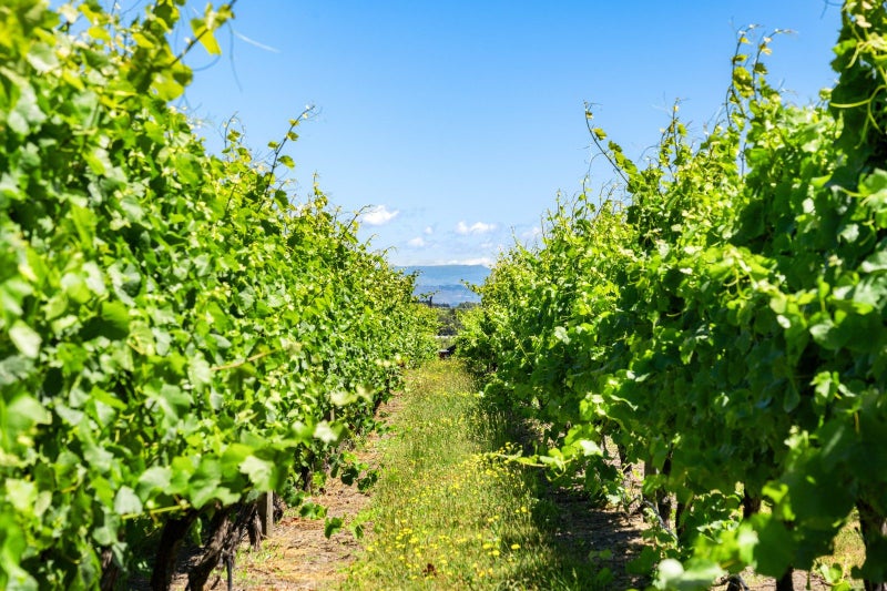 34 Side Road, Hastings - Carousel 36