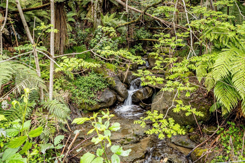619 Kirikau Valley Road, Kirikau, Taumarunui - Carousel 2